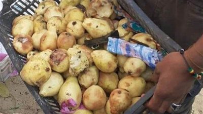 إعدام 57 كيلو من الأغذية و10 لترات من الألبان غير الصالحة بالعريش 