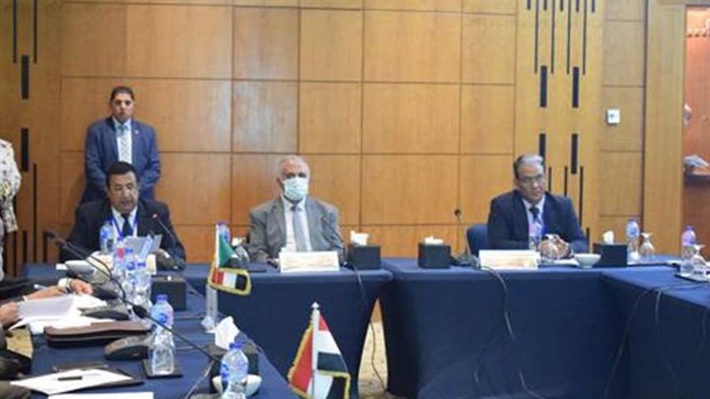 الدكتور محمد عبدالعاطي