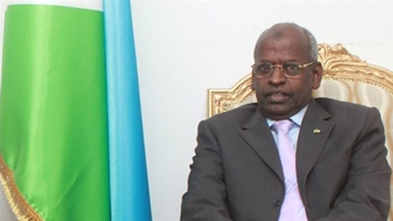 رئيس الوزراء الجيبوتي