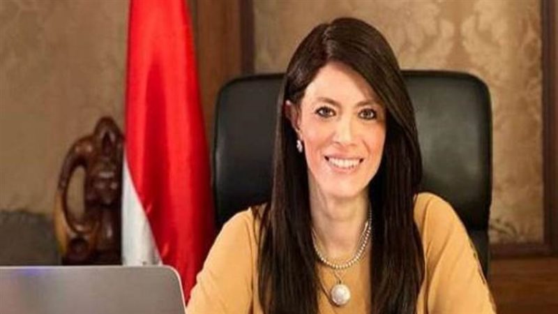 وزيرة التعاون الدولي