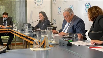 مايا مرسي توصي بإنشاء 