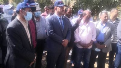 اختتمت كلية الزراعة بجامعة الوادي الجديد الدورة التدريبية لتحسين إنتاجية نخيل التمر