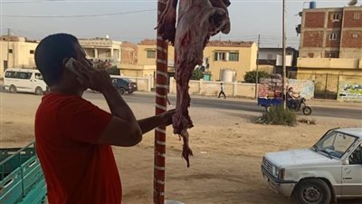 إعدام مواد غذائية منتهية الصلاحية وضبط ٥ أطنان ملح فى حملة بالبحيرة