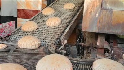 ضبط ٦ مخابز مخالفة في حملة تموينية برشيد