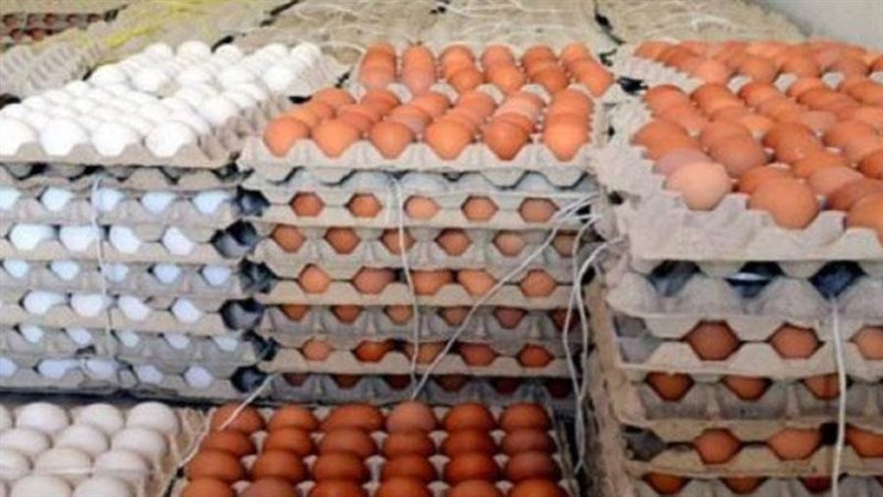 أسعار البيض اليوم