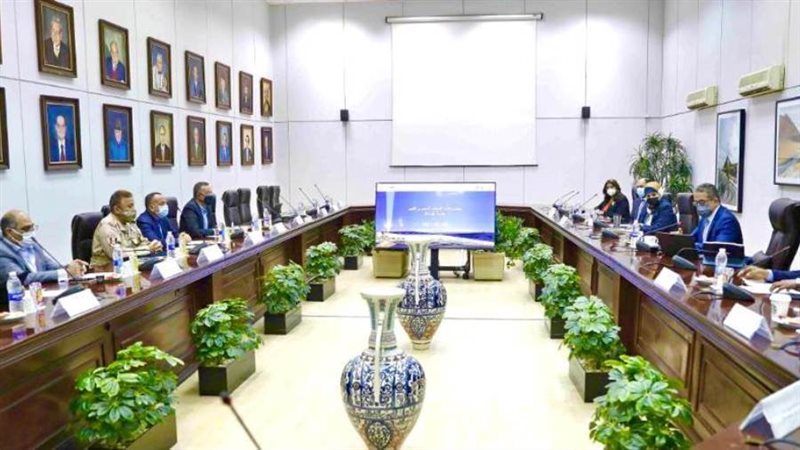 العناني خلال الاجتماع