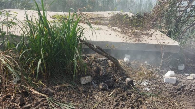 إزالة التعديات بالبحيرة