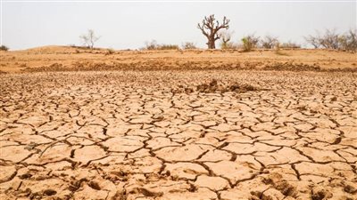 مسؤولون أمميون يحثون زعماء العالم على إعطاء الأولوية لمخاطر الجفاف