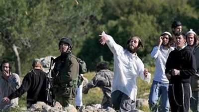 مستوطنون يعتدون على فلسطينيين بالخليل.. والاحتلال يعتقل طفلا بالقدس