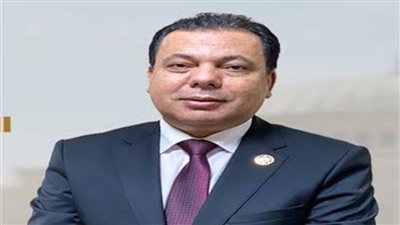 برلمانى: المنصة الإلكترونية لتنظيم سوق العمل خطوة جديدة لحفظ كرامة المصريين بالخارج