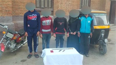 تفاصيل مقتل شخصين بالدقهلية.. وضبط المتهمين 