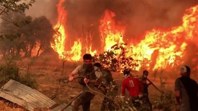 استمرار مكافحة واحد من أكبر حرائق الغابات في النمسا