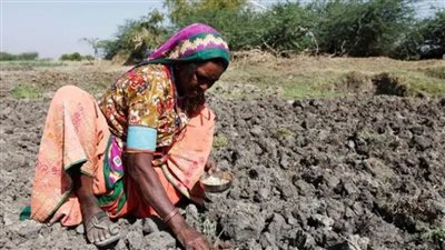 علماء: تغير المناخ يمكن أن يخلق ظروفاً غير قابلة للعيش لثلاثة مليارات نسمه