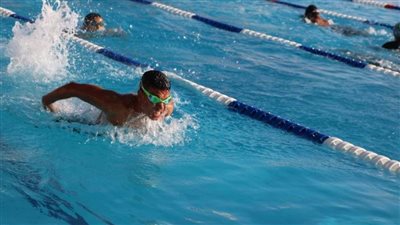 86 ميدالية و5 كؤوس حصيلة مشاركة نادي المنيا ببطولة الصعيد للسباحة