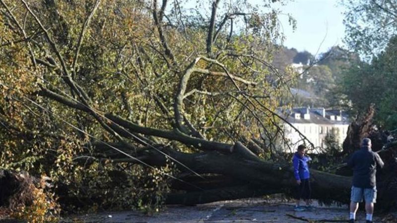 صورة ارشيفية