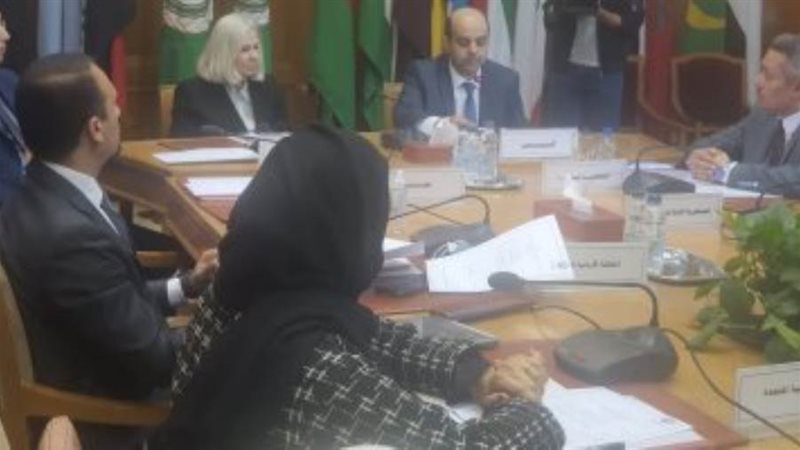 اجتماع الخبراء الحكوميين