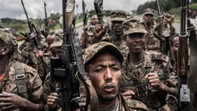  الحكومة الإثيوبية تدعو لحمل السلاح للدفاع عن العاصمة أديس أبابا