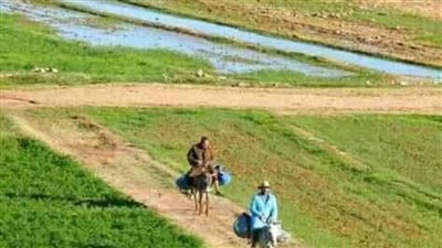 تسهيلات وقروض بدون فوائد لمزارعي الوادي الجديد للتحول للري الحديث