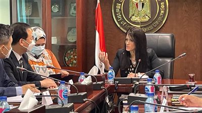 المشاط تؤكد ضرورة تعزيز التعاون مع كوريا الجنوبية في توطين صناعة القطارات