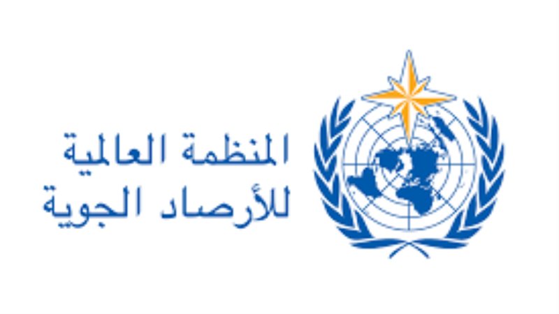 المنظمة العالمية