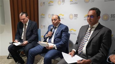 شعراوي: مؤتمر قومي للترويج للاستثمار في محافظات الصعيد مطلع العام القادم 