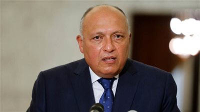 شكري: اعتمدنا نهجًا شاملًا للتعامل مع التدفقات المختلفة للهجرة