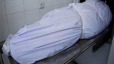 وفاة عاملين صعقا بالكهرباء أثناء العمل في برج ببنها