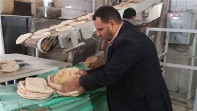 تموين الإسكندرية: تحرير٣٩٠ محضرا ضد التجار المخالفين