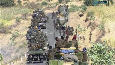 القوات المناهضة للحكومة الإثيوبية: نبعد 