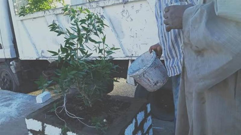 من جانب التشجير