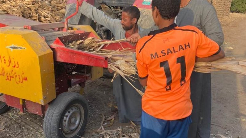 فرم البوص بمركز ديروط