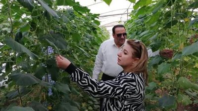 زراعة دمياط واتحاد المجالس الزراعية يحولان الأصول غير المستغلة لصوب منتجة