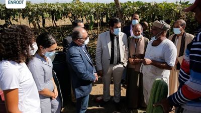 حاضنة أعمال مسار بجامعة سوهاج تكرم مزارعي اللوف