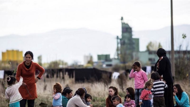 بوابة روز اليوسف