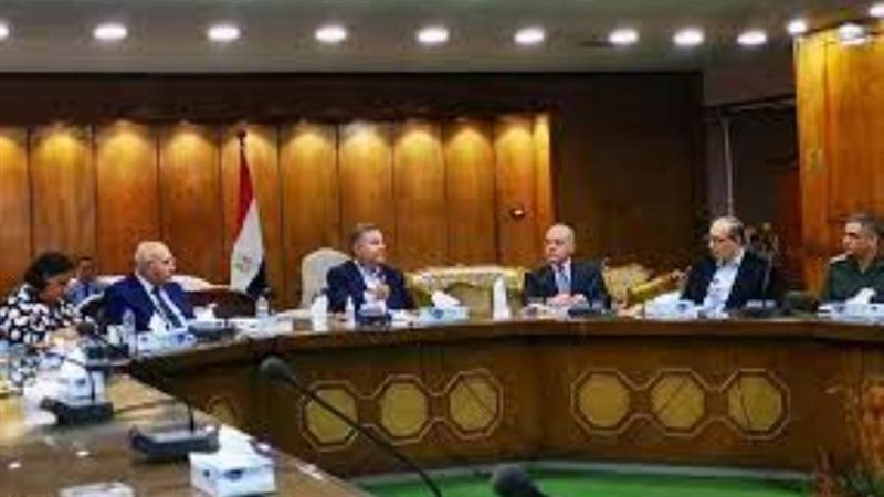 وزير قطاع الأعمال