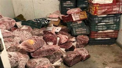 مباحث التموين تضبط 14 طن أسماك ولحوم فاسدة قبل ترويجها بالأسواق