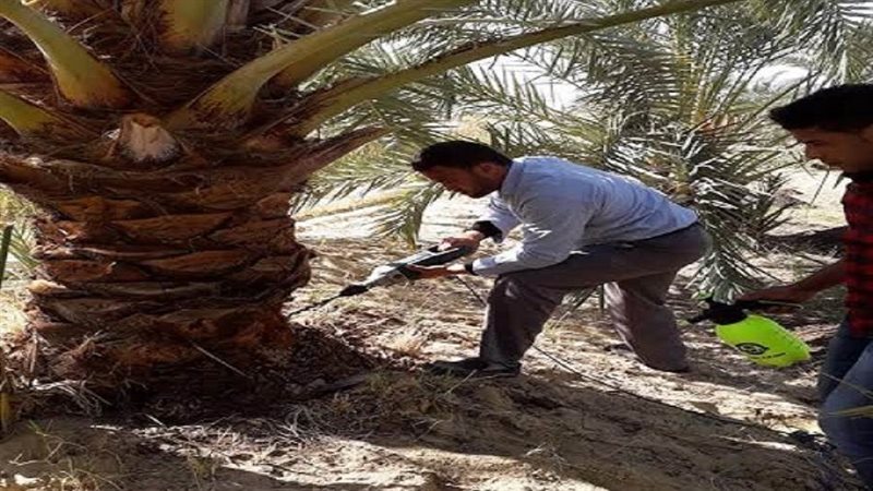 فريق مكافحة سوسة