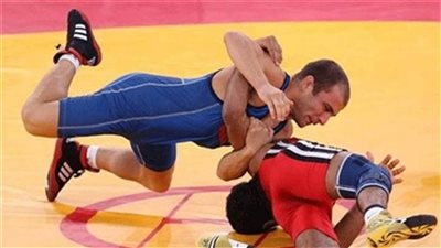 23 هيئة لها حق التصويت في انتخابات اتحاد المصارعة