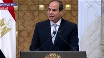 الرئيس السيسي: استعرضت مع رئيسة تنزانيا التطورات الخاصة بقضية سد النهضة كقضية وجود