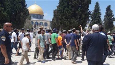 مستوطنون يقتحمون باحات الأقصى بحماية شرطة الاحتلال
