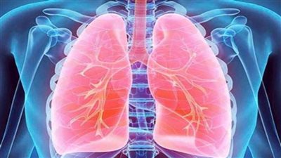 13 نوفمبر.. إطلاق حملة 