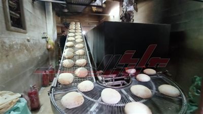 تحرير 121محضرًا متنوعًا بمراكز ومدن كفر الشيخ