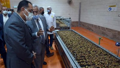 رئيس الوزراء يتفقد مجمع تمور الوادي الجديد وخطوط إنتاج عسل البلح والوجبة المدرسية
