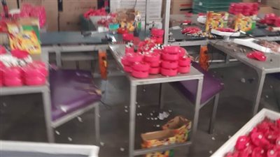 تموين الإسكندرية تضبط مصنعا للعب الأطفال يستخدم خامات مجهولة المصدر