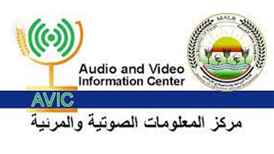 بالانفوجراف والفيديو| 