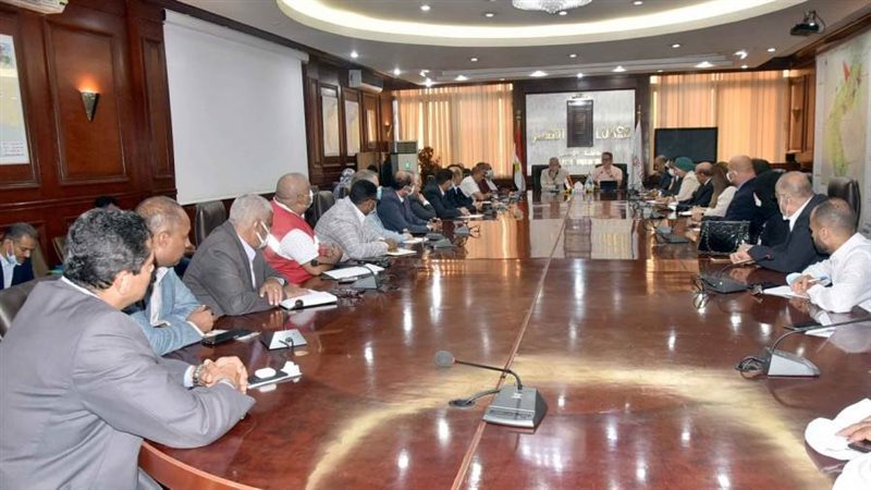 العناني خلال الإجتماع