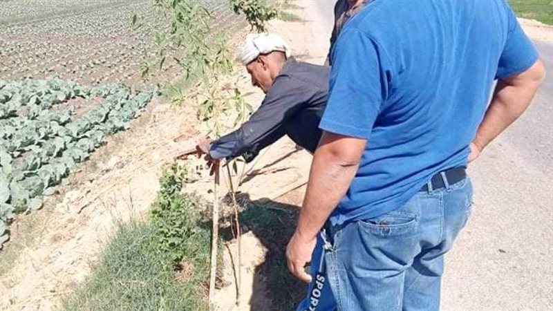 من اعمال التشجير