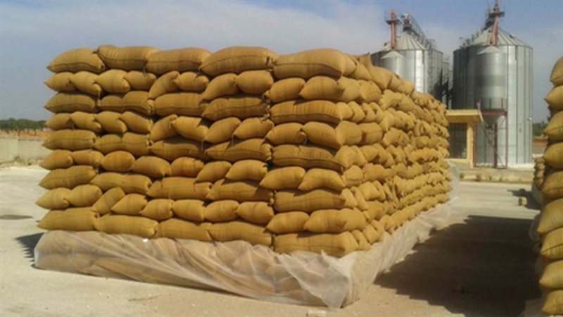 صورة ارشيفية