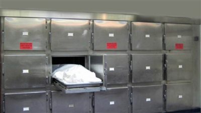 تفاصيل جريمة قتل مواطن لشقيقته بالدقهلية