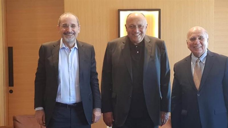 شكري ونظيريه الأردني